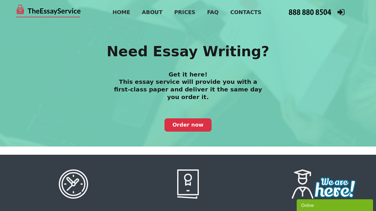 TheEssayService.org